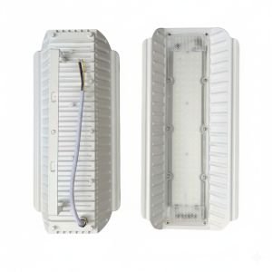 দুইটা লাইট দুইটা ফিতা কম্বো